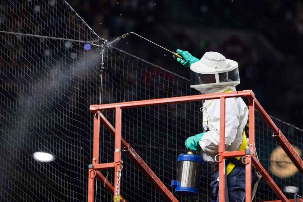 Beekeeper Saves the Day in Arizona