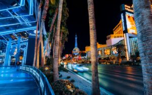 Palm trees along Las Vegas Boulevard